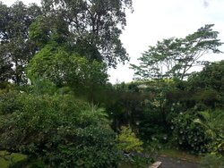 Cluny Road (D10), Detached #460731401